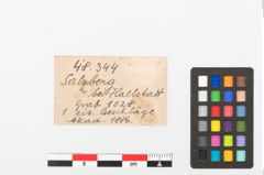 Foto von Eisenösenzwinge (NHMW-PRAE-048344a)